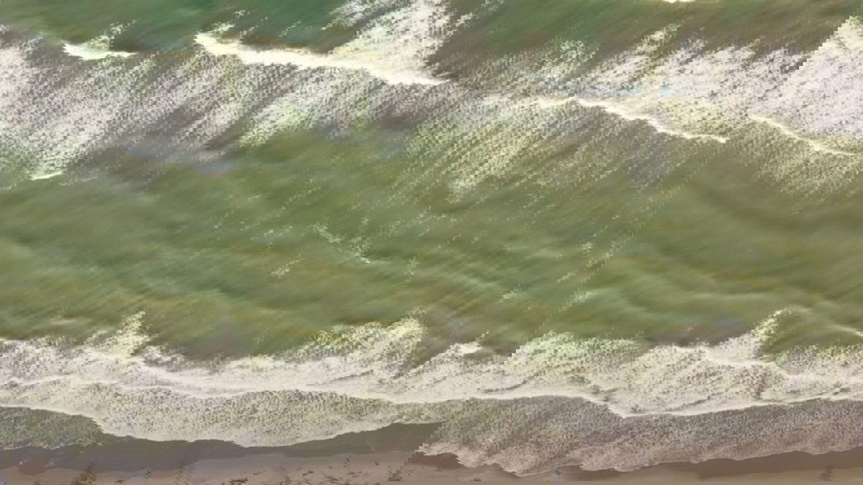 Sara, the force of the sea