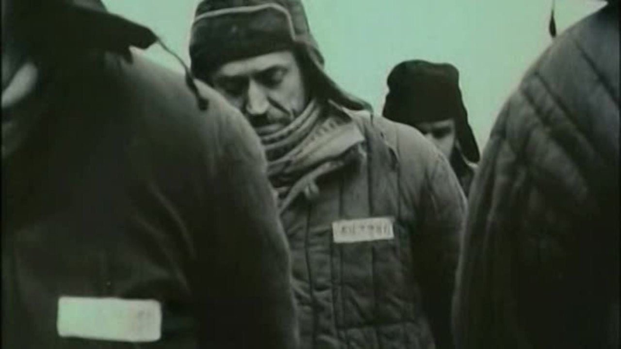 Faithful Ruslan: History of the Guard Dog