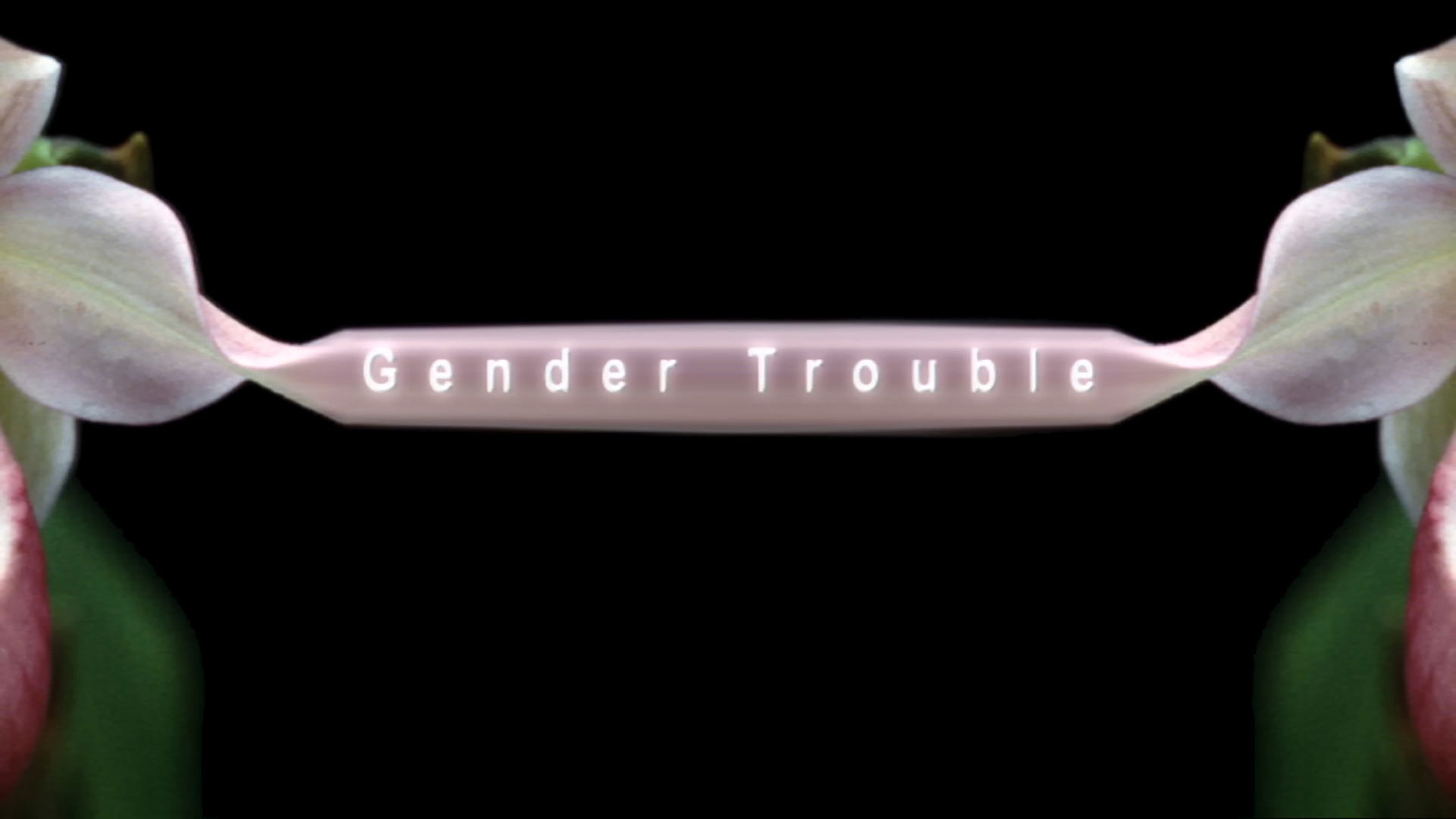 Gender Trouble