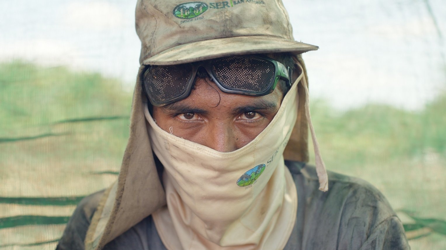 Trop chaud pour travailler