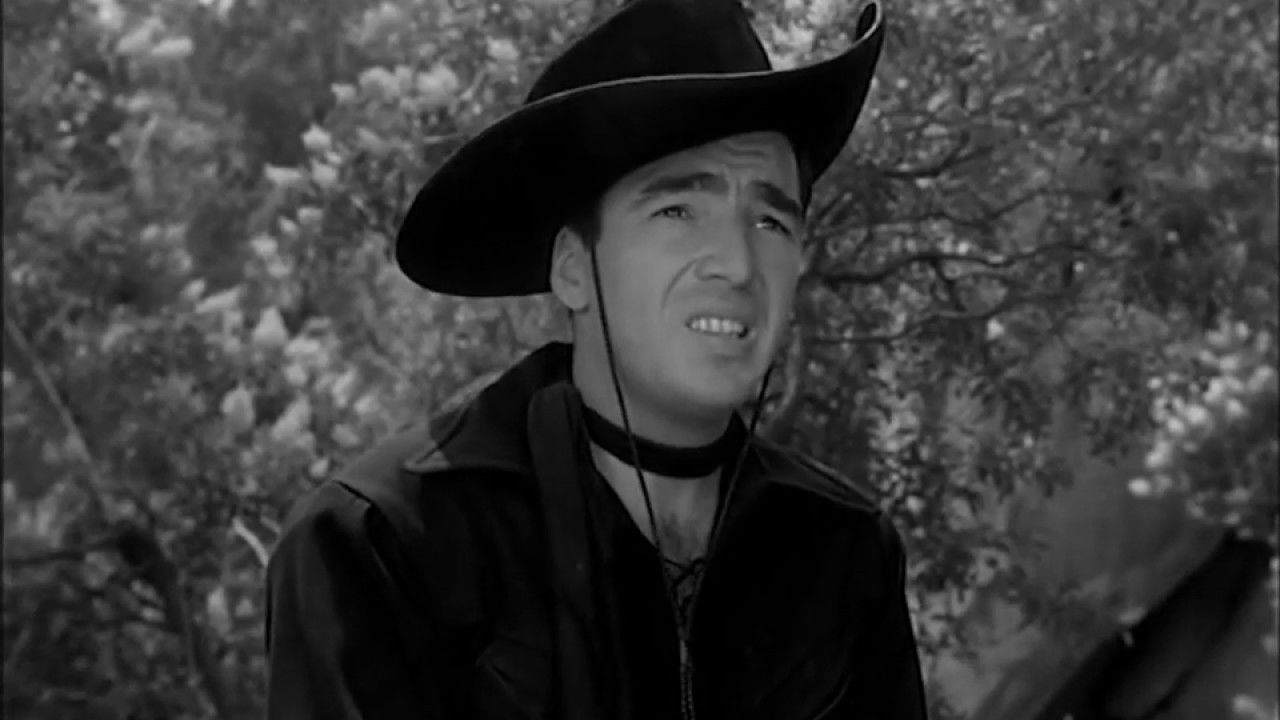 King of the Bullwhip