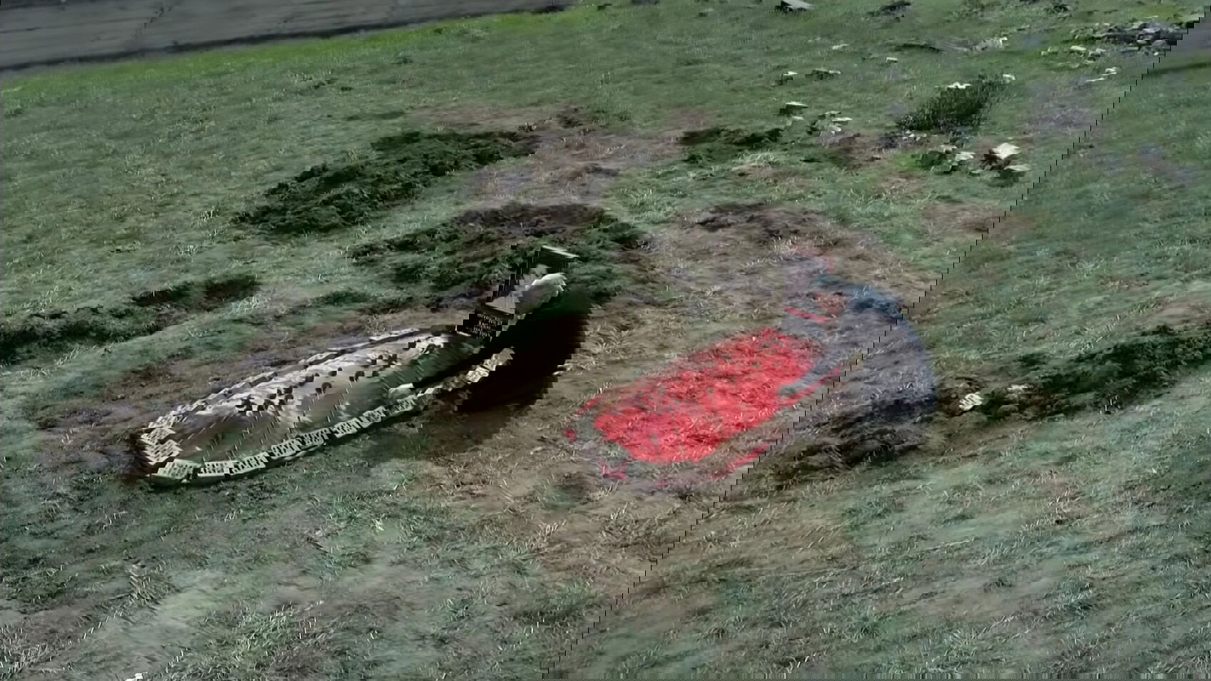 The grave under the plum tree