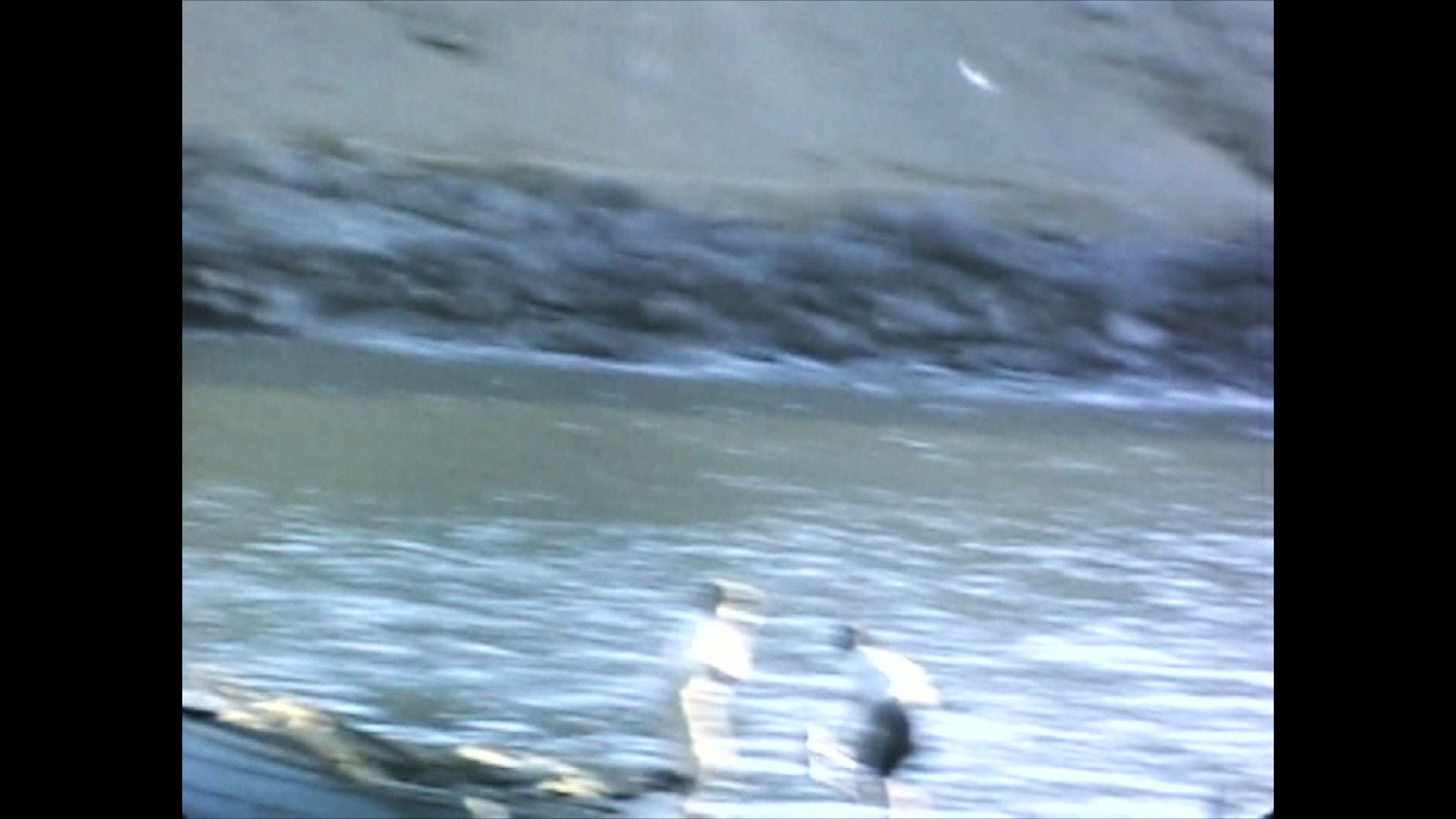 El Perú es un lugar para morir