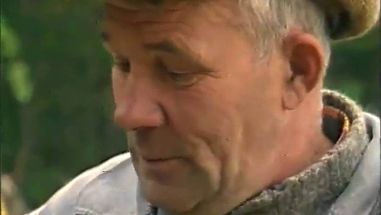 The Arkhangelsk Peasant