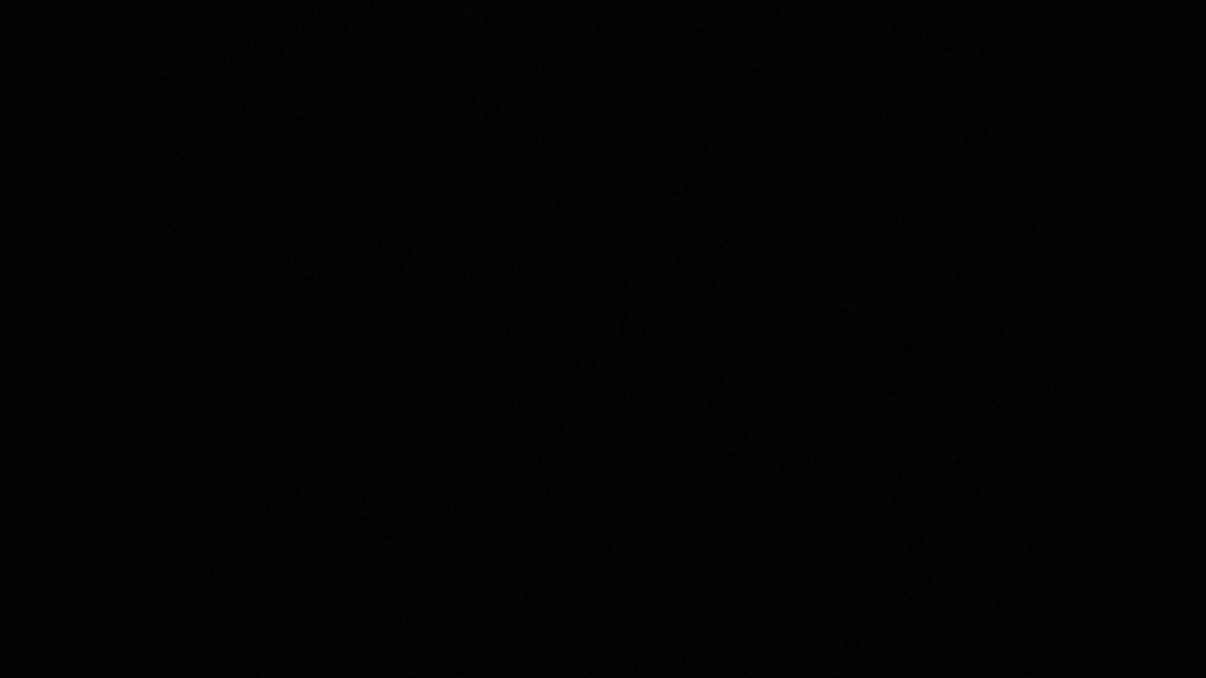 The girl beyond the gate