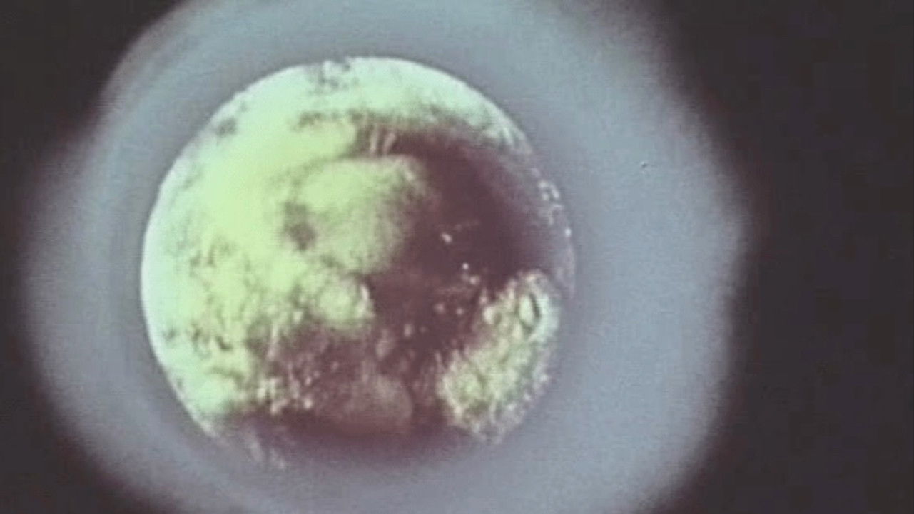 Biosphere! Time to Apprehend