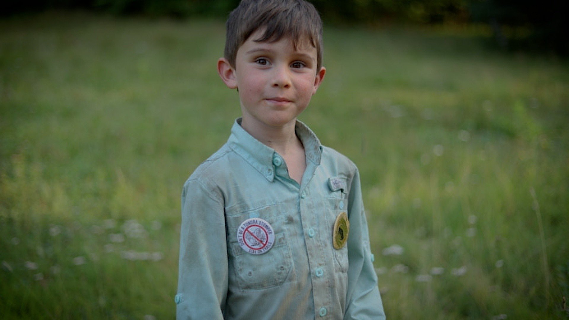 Beyond the Tree Line
