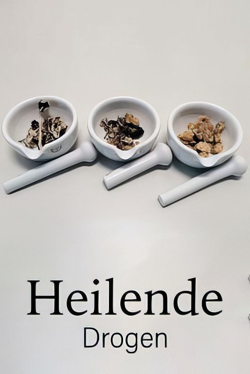 Drugs that Heal: Could Psychedelics Treat Depression?