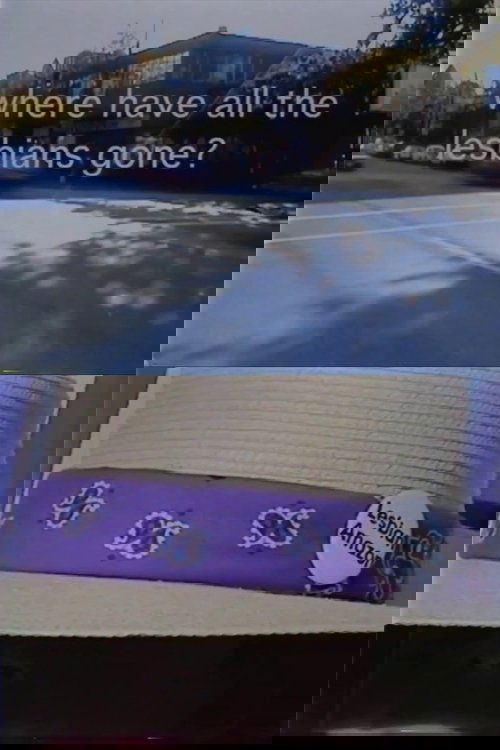 Where Have All the Lesbians Gone?