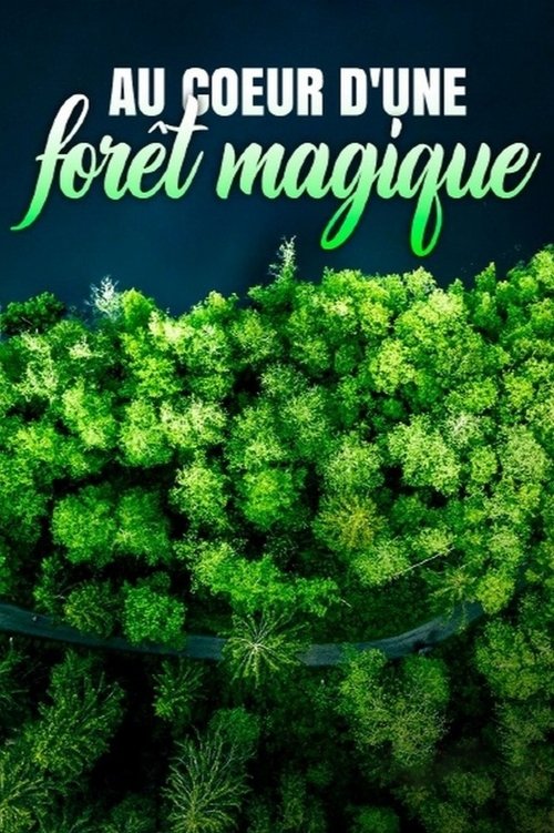 Au cœur d'une forêt magique