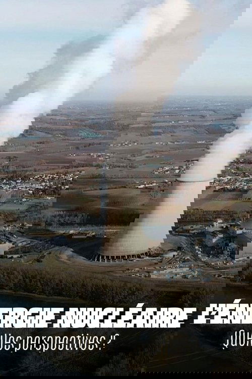 The Future of Nuclear Energy