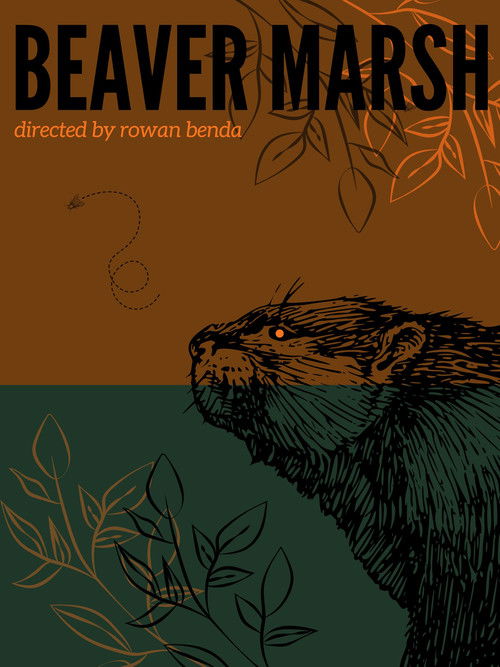 Beaver Marsh