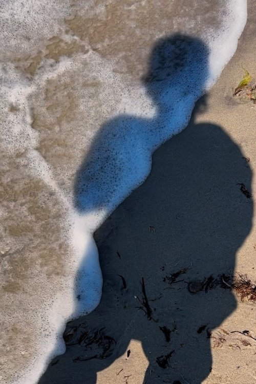 See Through the Dragon Head