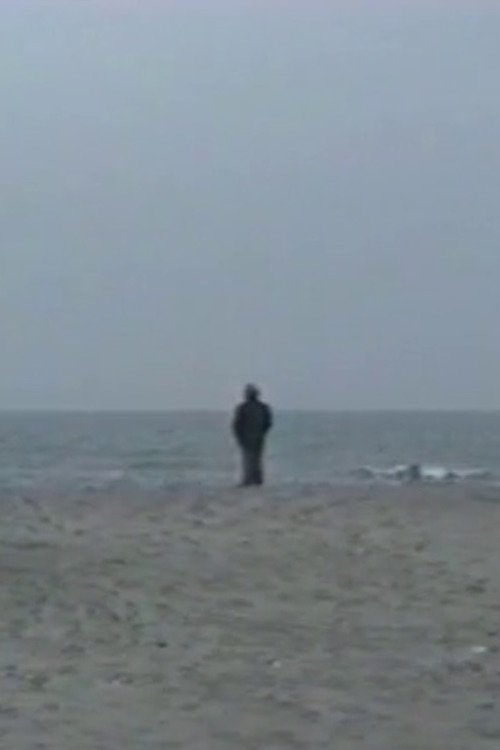 L'Arbre et le Soleil