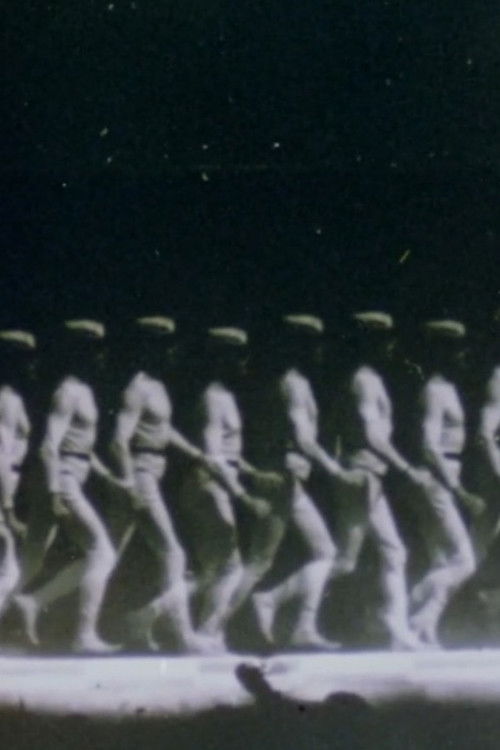 The Memory of the Eye E.J. Marey