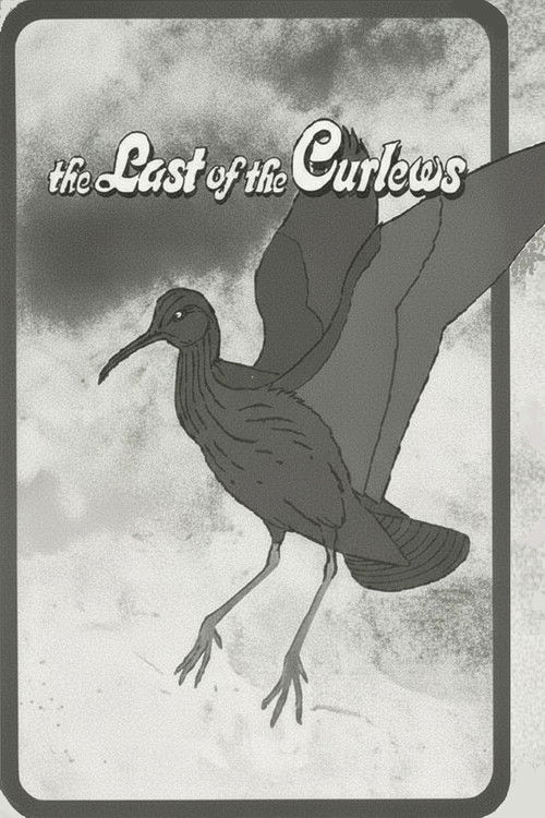 The Last of the Curlews