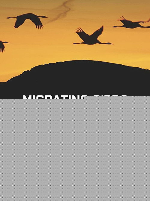 Zugvögel - Kundschafter in fernen Welten