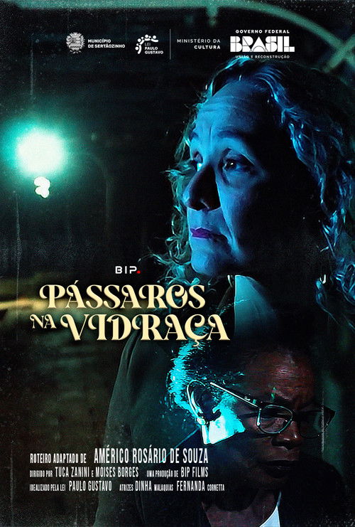 Pássaros na Vidraça