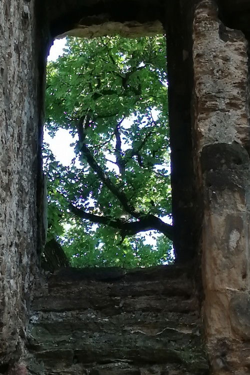 The Ruins of Seyssuel's Castle