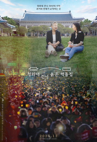 The Blue Roof from the Window