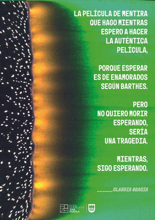 LA PELÍCULA DE MENTIRA