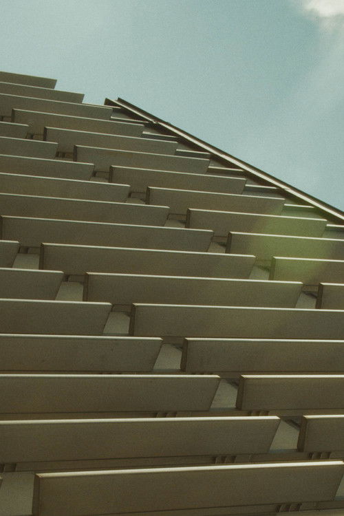 Icons - Oľga Ondreičková