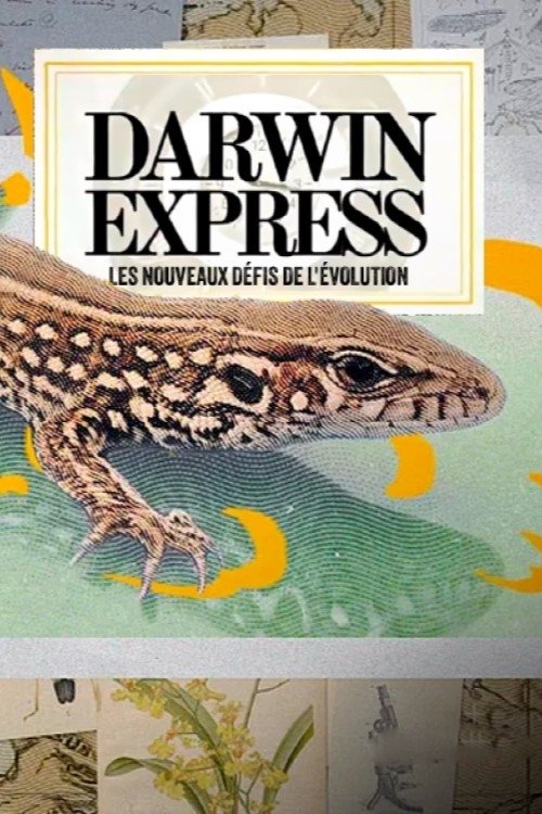 Darwin express - Les nouveaux défis de l'évolution