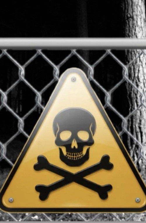 Influencer into the woods