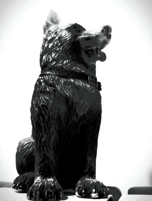 The Dog of Sarandi Alley