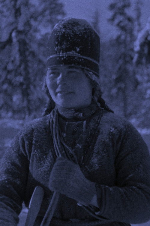 With Reindeer and Sled in Inka Länta’s Winterland