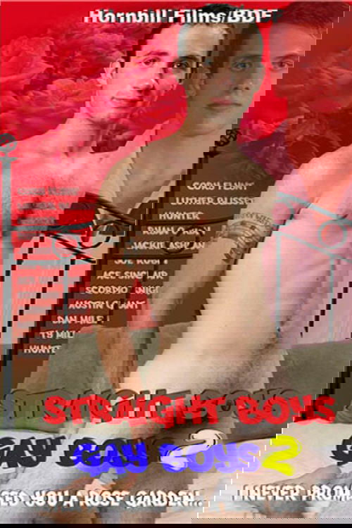 Straight Boys Gay Boys 2: I Never Promised You a Rose Garden